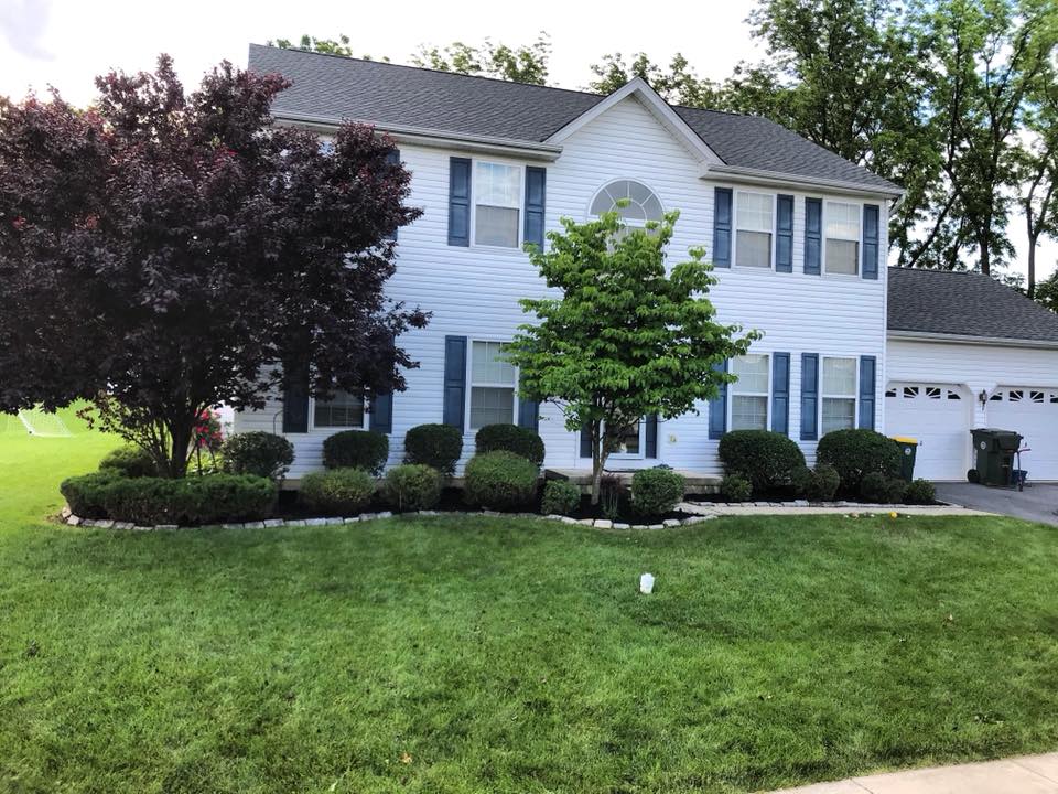 tree shrub installation, landscaping