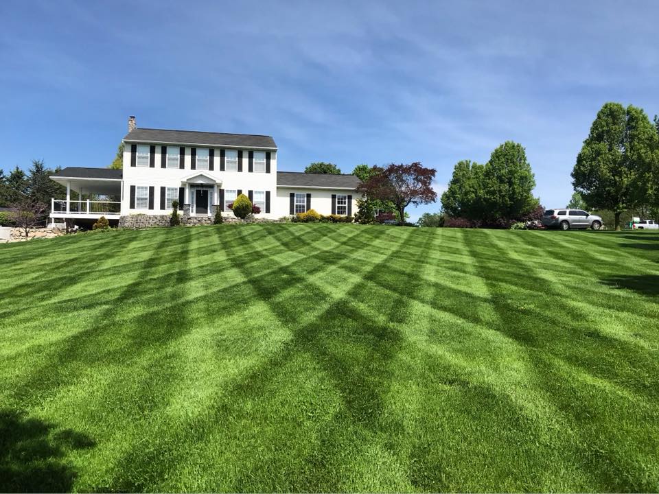 lawn care allentown PA