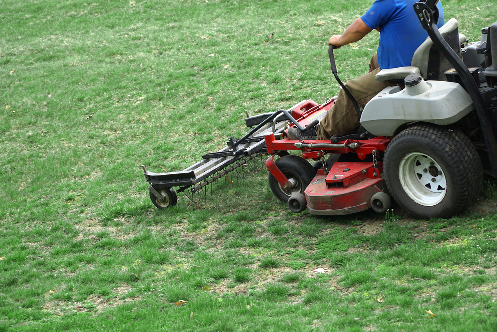 Lawn Dethatching