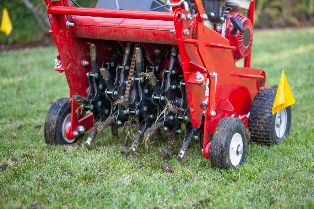 Lawn Aeration